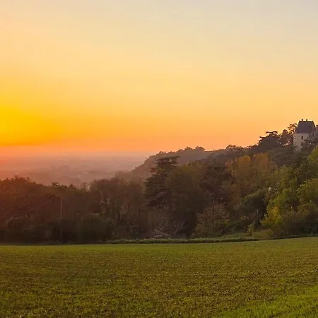 Σπίτι διακοπών Les Palmiers De