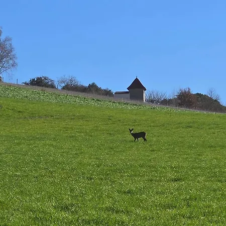 Σπίτι διακοπών Les Palmiers De Valence (Tarn-et-Garonne)