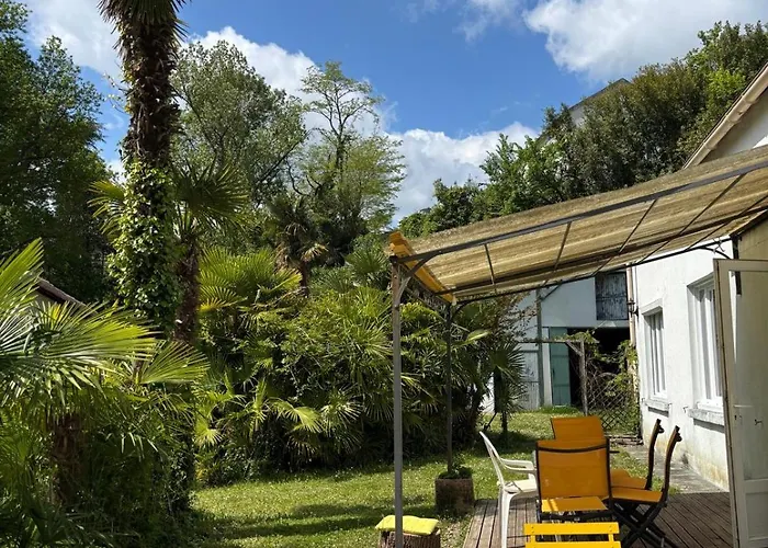 Les Palmiers De * Valence (Tarn-et-Garonne)