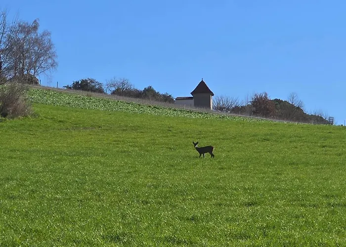 Dom wakacyjny Les Palmiers De Valence (Tarn-et-Garonne)